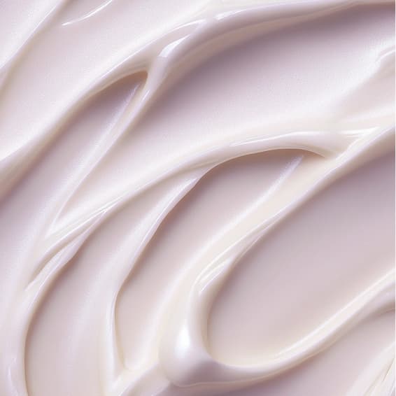 The Elevate Membership at Elevate Skin Studio in Santa Rosa, CA